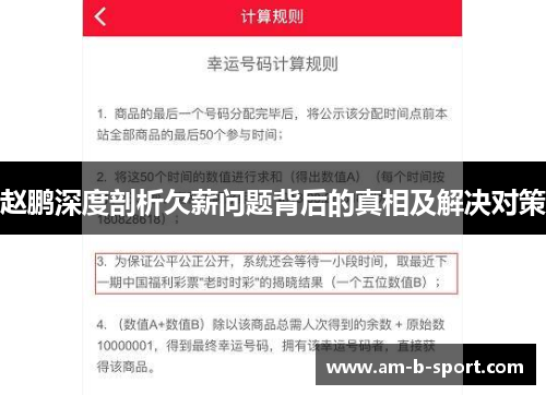 赵鹏深度剖析欠薪问题背后的真相及解决对策