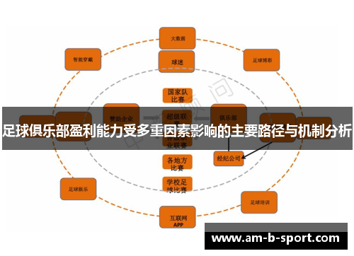 足球俱乐部盈利能力受多重因素影响的主要路径与机制分析